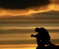 /album/fotogaleria3/belief-jpg/
