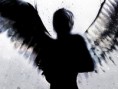 /album/fotogaleria3/dark-angel-jpg/