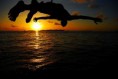 /album/fotogaleria3/overcoming-obstacles-jpg/